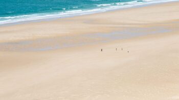 Menschenleerer Strand in Frankreich mit Hund