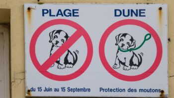 Ein Schild ob Hunde in Frankreich an den Strand dürfen