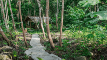 Glamping weltweit im The Sticks Malaysia