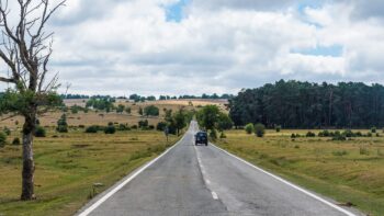 Eine Fahrt durch das gruene Baskenland