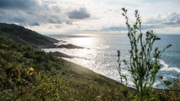 Ein toller Blick ueber eine gruene Kueste im Baskenland