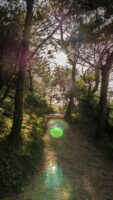 Ein Wanderweg im Baskenland
