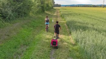 Elektrische Falträder Test eflizzer