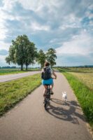 Falt-Ebike-Sprint