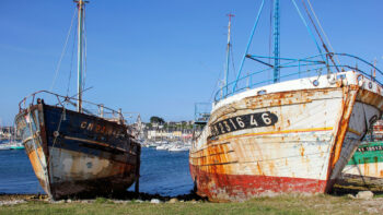 Schiffswracks im Hafen von Camaret in der Bretagne Foto Donatienne Guillaudeau