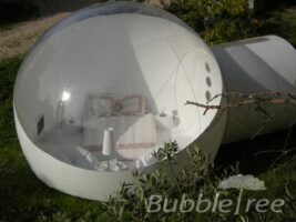 BubbleRoom BubbleTree Pierre Stephane Dumas