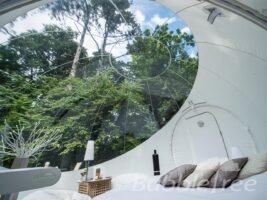 BubbleSuite- BubbleTree