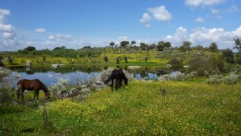 Camping Spanien Landschaft