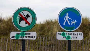 Verbotsschilder an einem Hundestrand in Frankreich