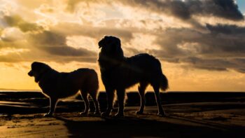 strand sonnenuntergang