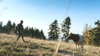 Natur pur beim Wandern in der Rhoen