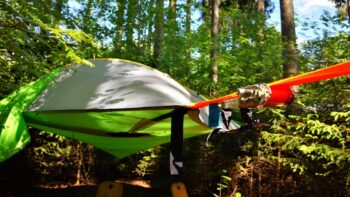 Ein Baumzelt im Wald