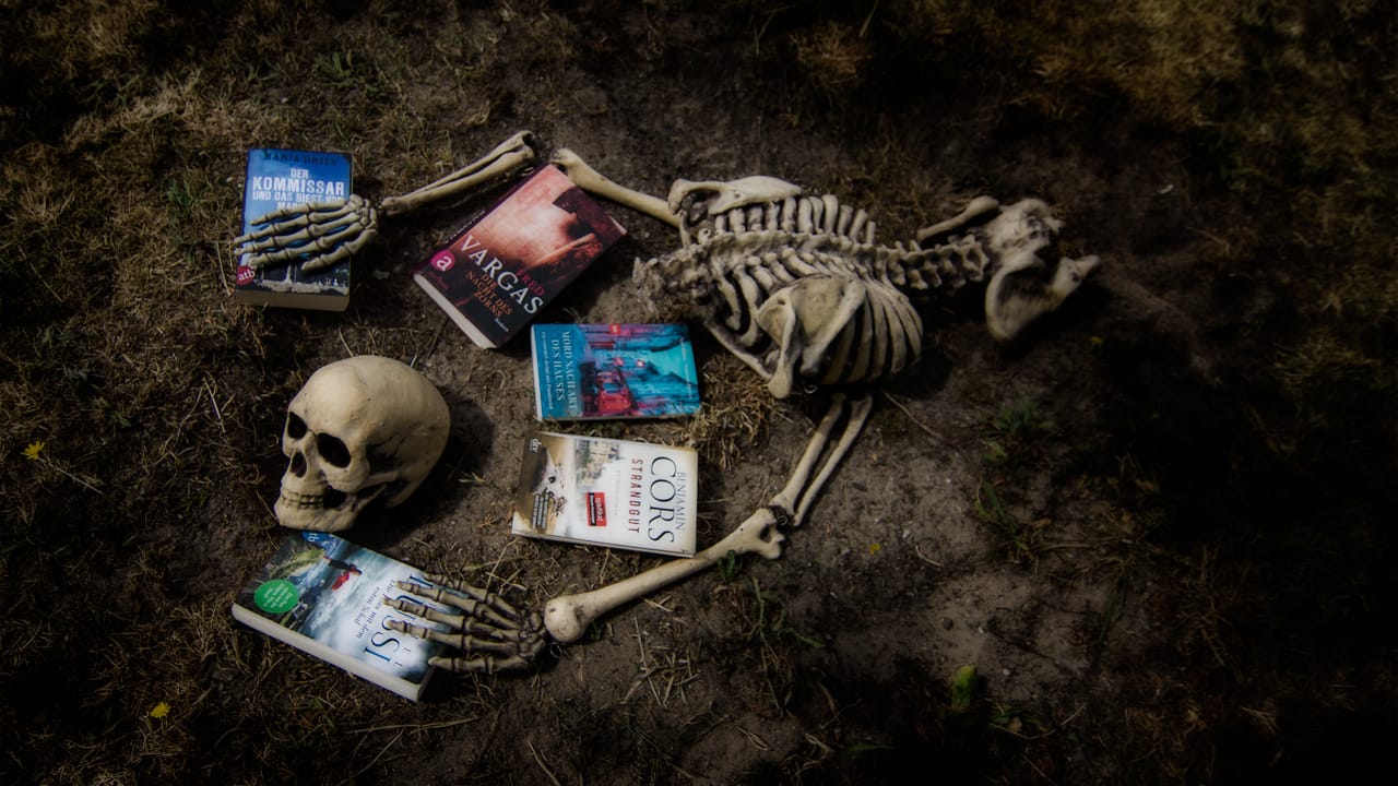 Mörderische Normandie: Buchempfehlungen und Campingtipps für Krimi-Fans!