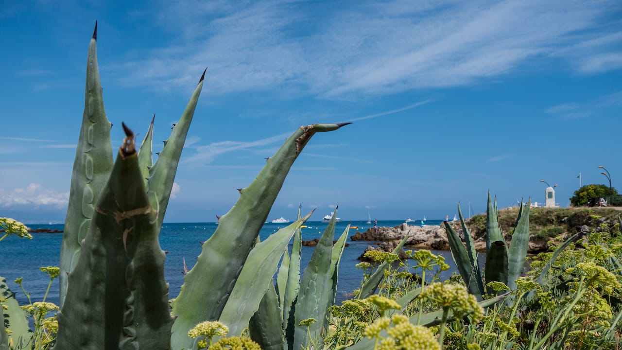 Campingpl tze In Frankreich Tipps In Den Sch nsten Campingpl tze In Frankreich Tipps In Den Sch nsten