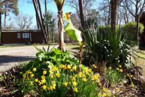 Camping Le Pin Pflanzen und Baeume umgeben den Campingplatz