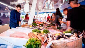 Fisch auf dem Markt in Fouesnant Frankreich