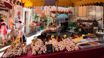 Markt in L‘Isle sur Sorgoue Frankreich