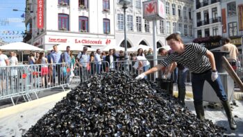 maerkte frankreich braderie lille