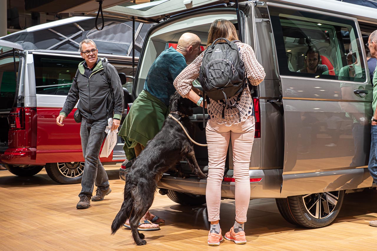 VW California 6.1 – Strand-Hopping mit Stil (inkl. Video-Roomtour) 5 Interessierte Menschen und ein Hund begutachten einen VW California 6.1 Beach Camper auf dem Messestand des Caravan Salon 2019 in Düsseldorf