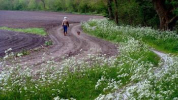 Spaziergang mit dem Hund am kinderfreien Camping Jellys Hoeve