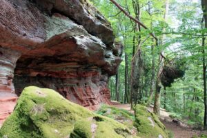 Pfaelzerwald Trekking Felsen