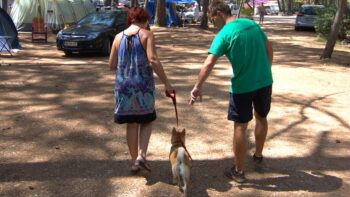 Campingplatz in Kroatien mit Hund