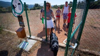 Camping im hundefreundlichen Kroatien mit Hund