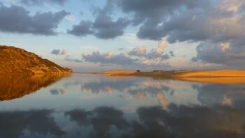 Mit Hund in Portugal zum Sonnenuntergang am Strand