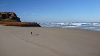 Vorbereitung für Camping Urlaub mit Hund in Portugal