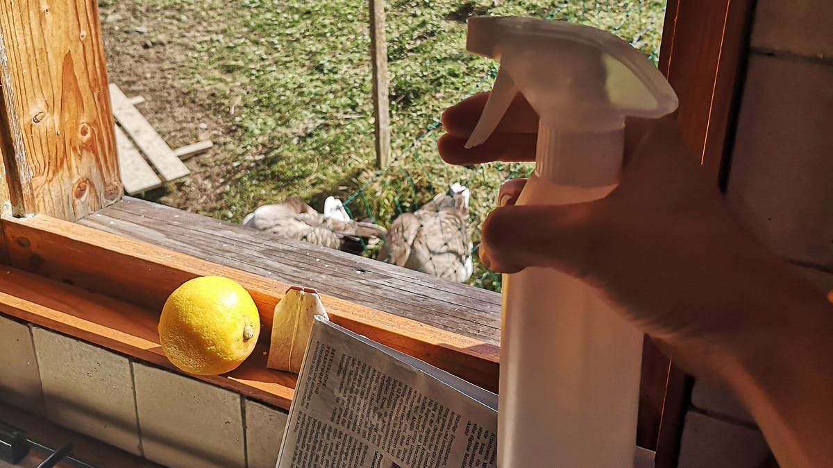 Umweltfreundlicher Frühjahrsputz im Camper 5 Fruehjahrsputz Camper Fensterputzen