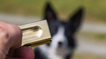 Ideen zur Beschäftigung für Hunde mit Clicker