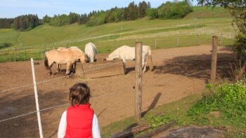 Besuch bei den Pferden beim Camping auf dem Bauernhof