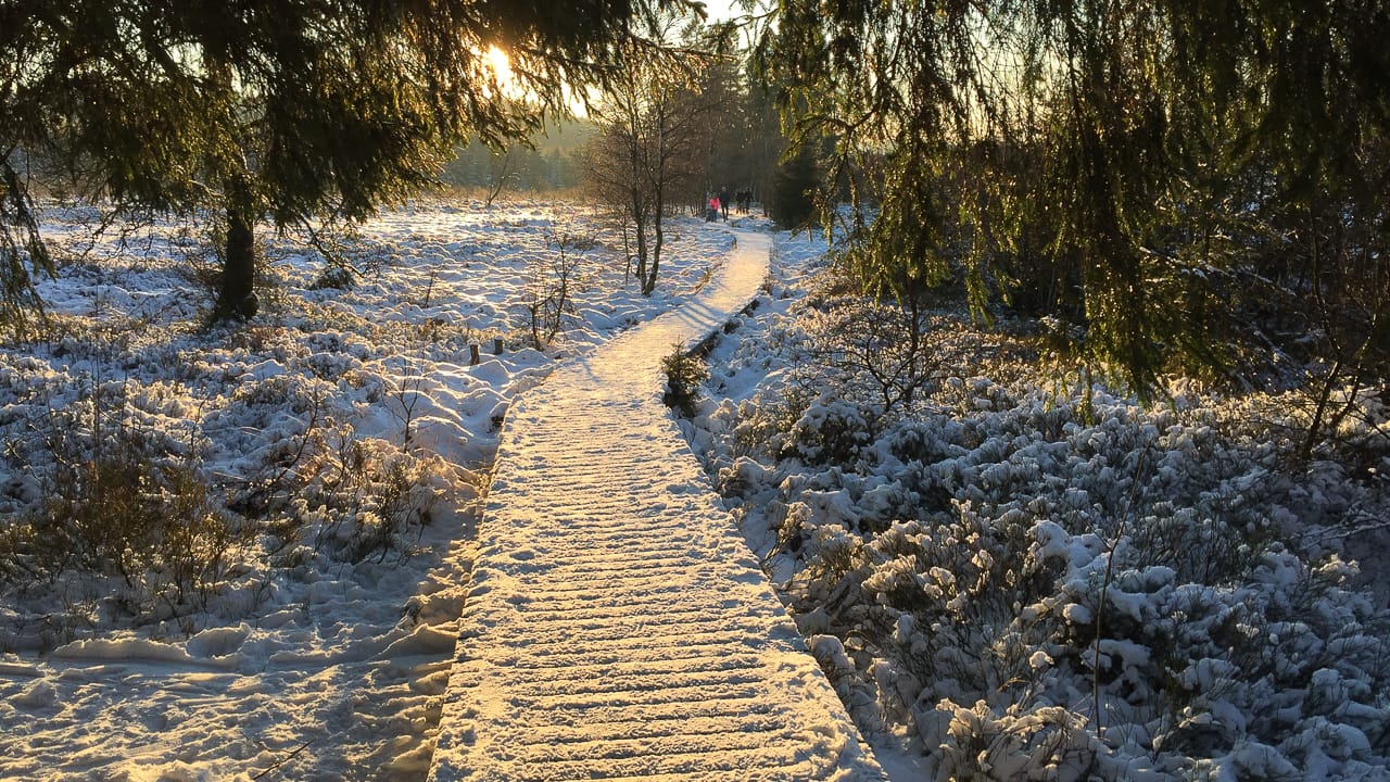 Reisen & Camping in der Eifel: Tolle Tipps für Stellplätze und Ausflugsziele 10 Das Venn im Schnee mit Camping in der Eifel