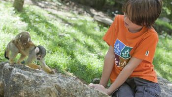 Junge im Affenpark beim beim Camping mit Kind in Nouvelle Aquitaine