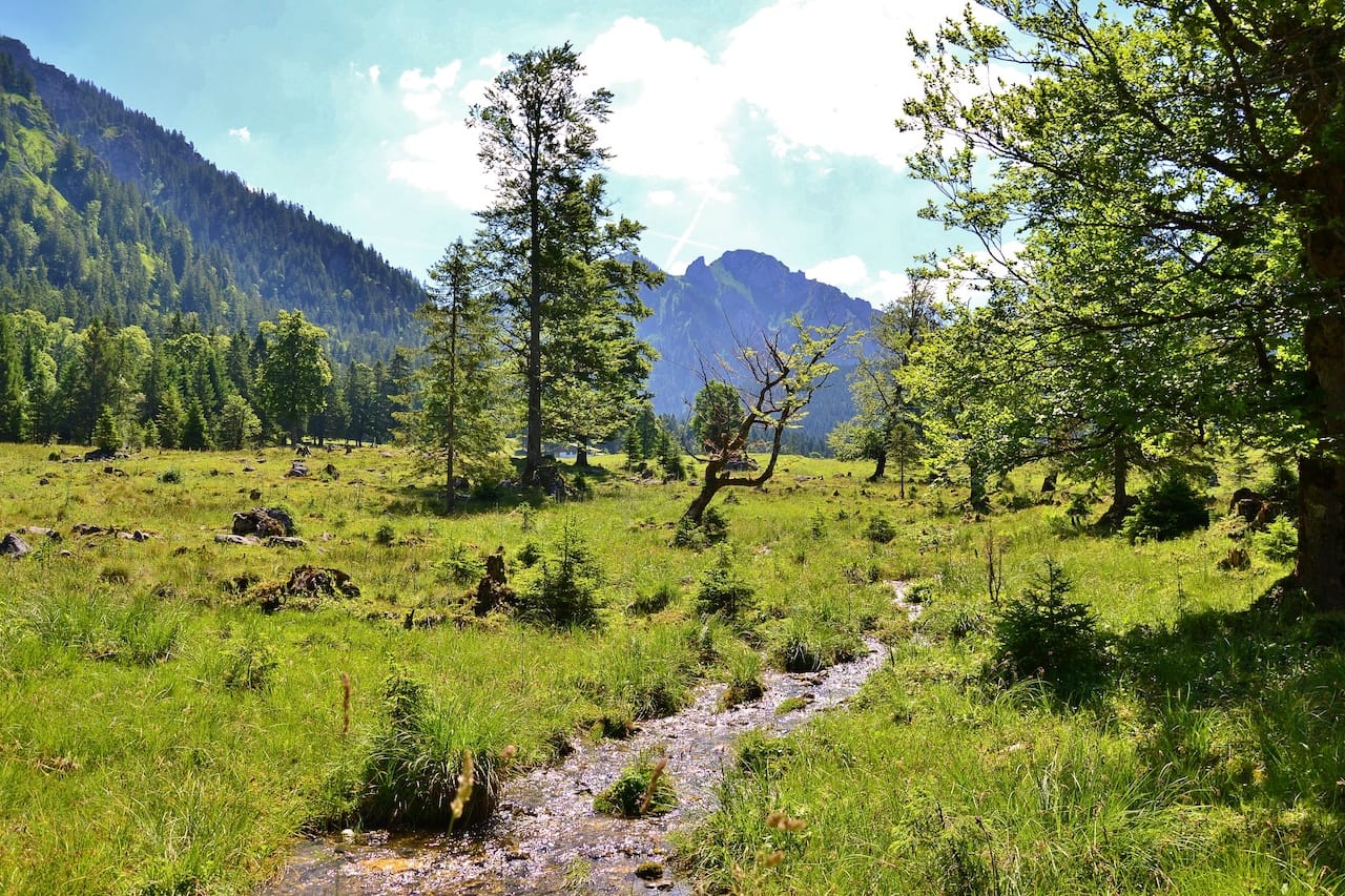Camping im Allgäu und Bayerisch-Schwaben – vielseitige Landschaften, pittoreske Orte und eine bewegte Geschichte 1 Wanderung beim Camping in Allgäu Bayerisch-Schwaben