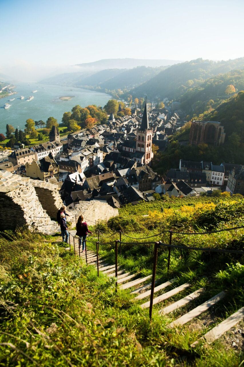 Besuch der Weinberge in Bacharach beim Camping am Mittelrhein