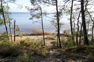 Lac Biscarrosse beim Camping mit Kind in Nouvelle Aquitaine
