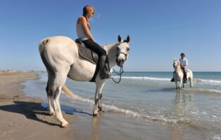 Reiten am Strand beim Camping mit Kind in Nouvelle Aquitaine