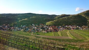 Camping am Oberrhein in Oberbergen