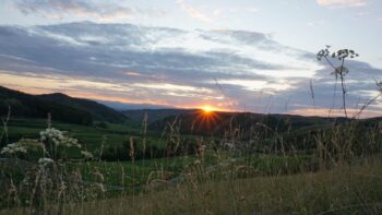 Camping am Oberrhein mit Sonnenuntergang am Vogelsangpass