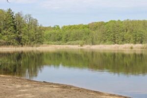 Der Grosse Karpfenteich beim Camping in der Uckermark