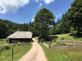 Radwege beim Campingurlaub im Schwarzwald