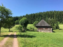 Landschaft beim Radfahren und Camping im Schwarzwald