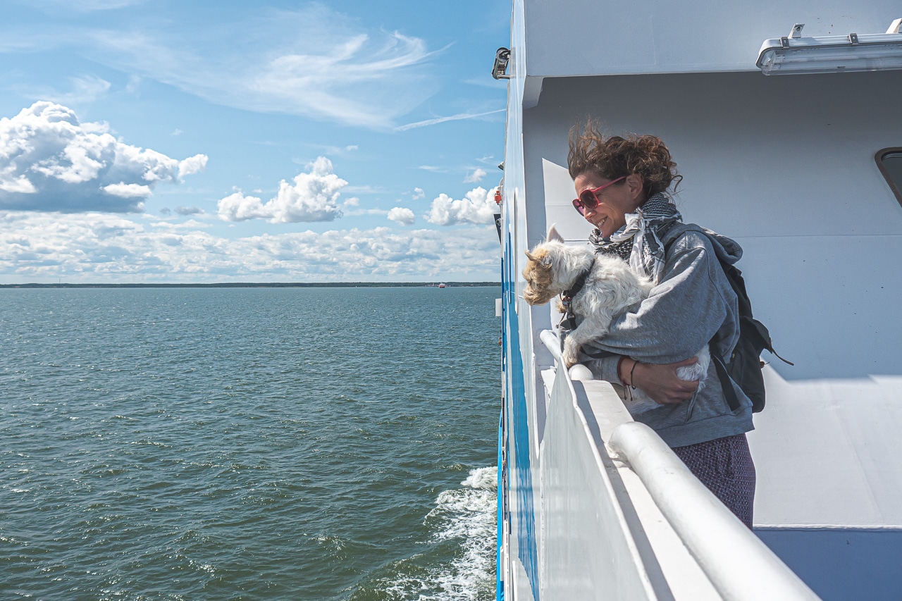 Mit Wohnmobil und Wohnwagen auf der Fähre – was du beachten musst 4 Wohnmobil Faehre Hund