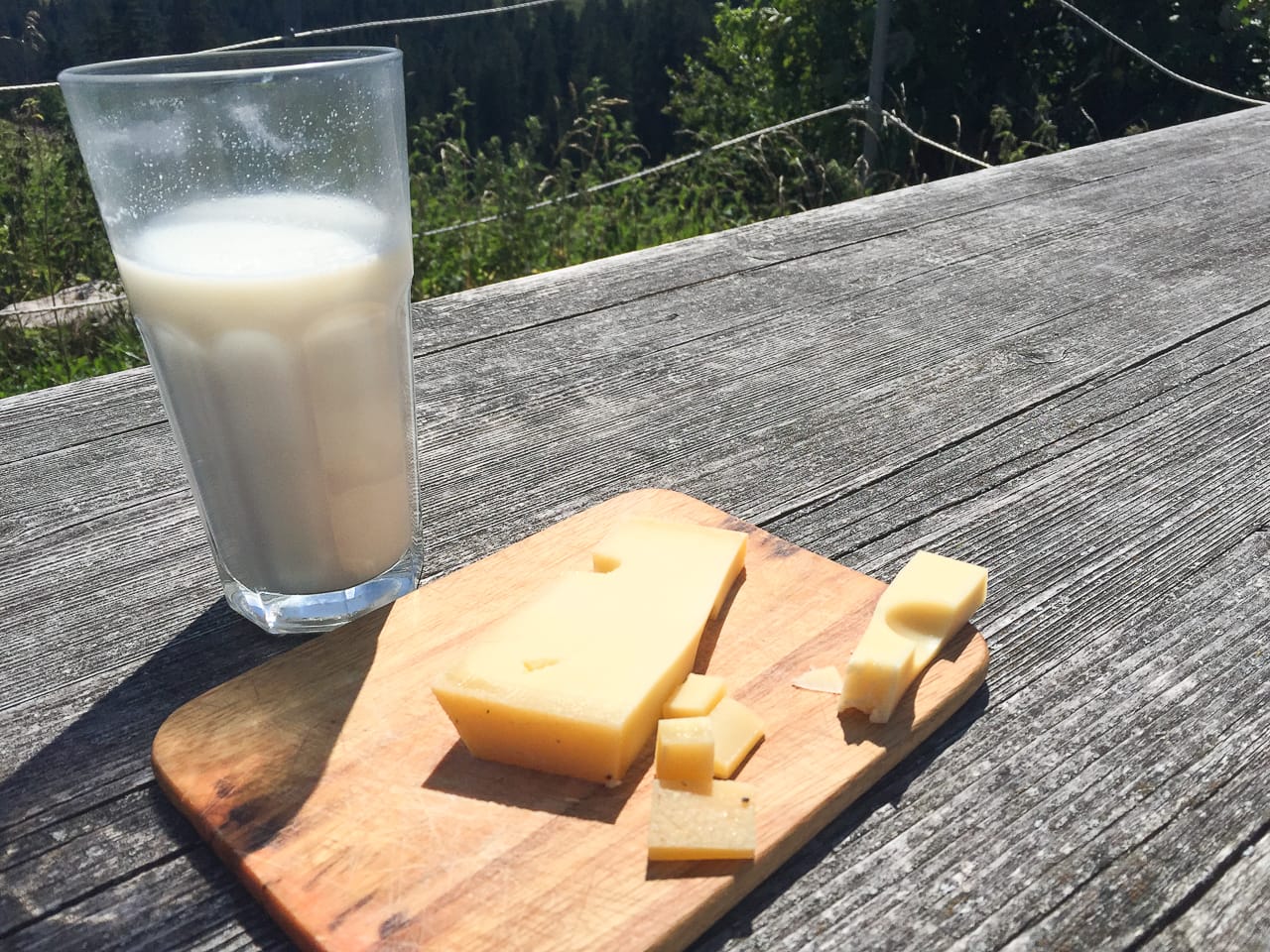 Reisen und Camping in Oberbayern: Eldorado für Naturliebhaber 18 Brotzeit im Tölzer Land beim Camping in Oberbayern