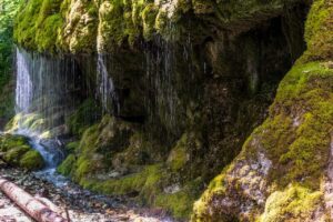 Wanderung des Schluchtensteigs beim Camping am Hochrhein