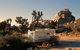 Camping im Joshua Tree Nationalpark auf einer Wohnmobil Weltreise