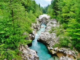 Natur nahe des Camp Korita beim Camping in Slowenien