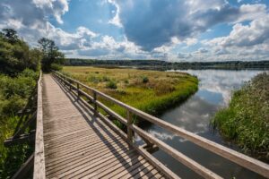 Westerwälder Seenplatte als Geheimtipp für Campingregionen in Deutschland