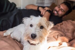 Der Hund ist der liebste tierische Begleiter von Camper:innen. (c) CamperStyle / Foto im Archiv CS